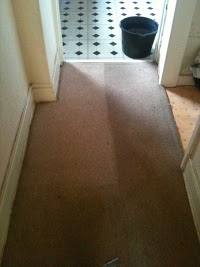 Cleaner Carpets 350022 Image 8